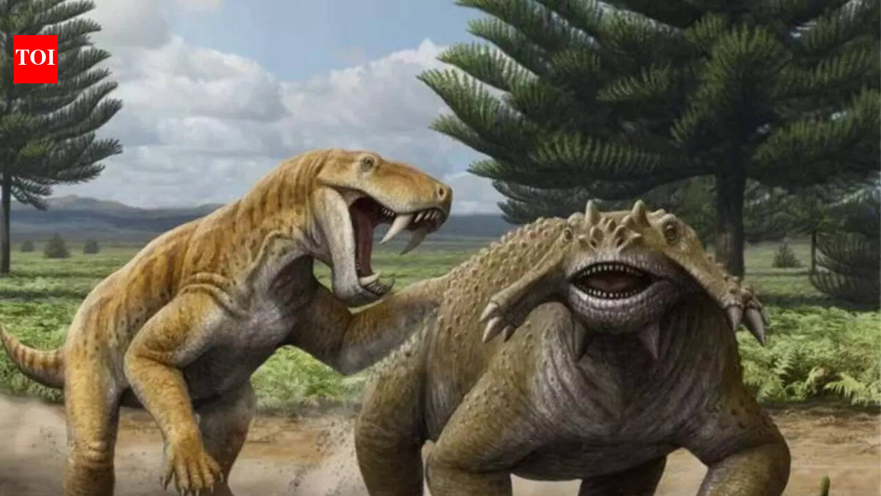 7 animals that lived before the dinosaurs | The Times of India