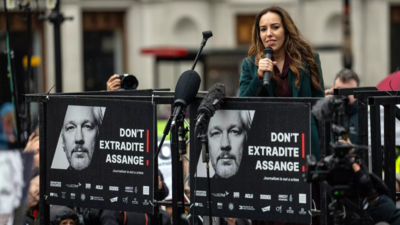'High-risk moment': Can Assange be extradited to US?