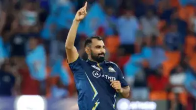 Mohammed Shami ruled out of IPL 2024 due to an ankle injury: Know more