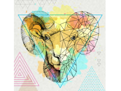 Aries, Horoscope Today, February 23, 2024: Focus on your well-being today