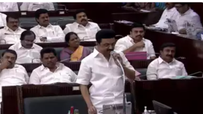 Tamil Nadu assembly passes 14 bills