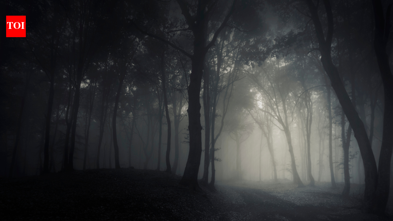 7 Most Haunted Forests In The World
