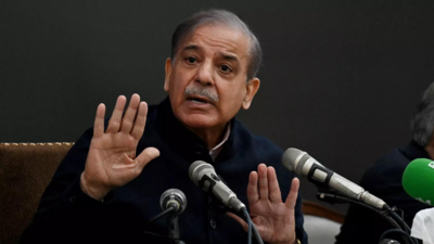 Shehbaz Sharif set to be PM, Pakistan in for 'roller coaster' ride: What it means for India
