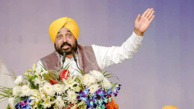 Punjab CM Bhagwant Mann announces Rs 1 crore ex-gratia for farmer who died during farmers protest