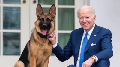 Joe Biden's dog Commander bit agents at least 24 times