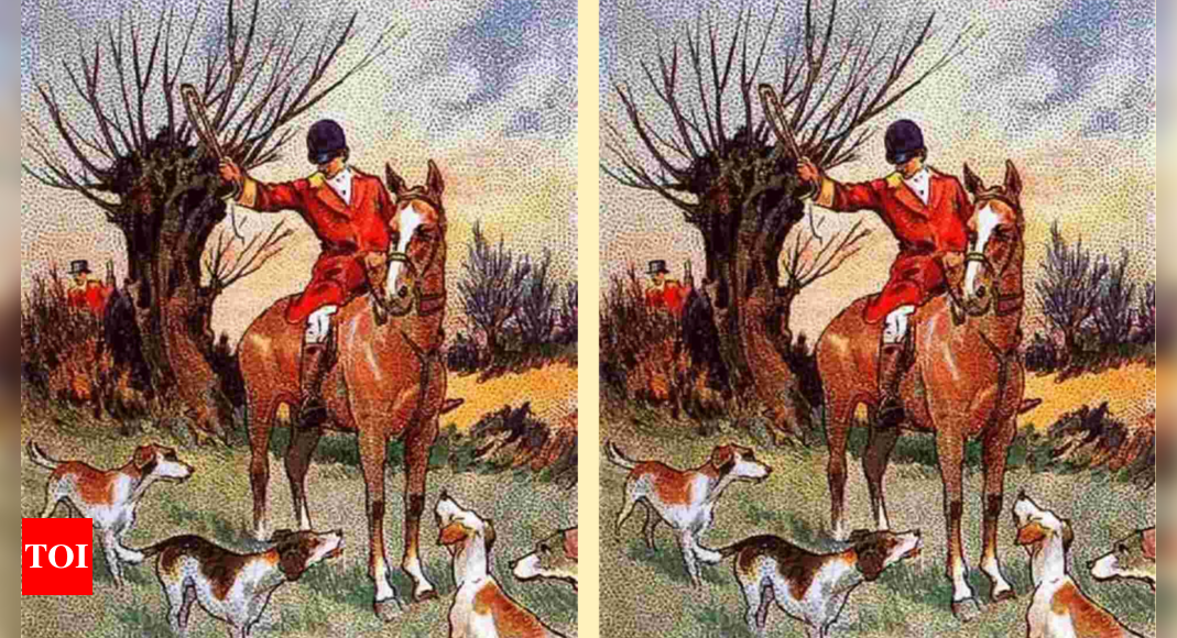 Optical Illusion: Can you find the hidden fox in this hunting scene?