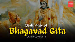 Bhagavad Gita, Chapter 2 Verse 14: Understanding the transient nature of happiness & pain