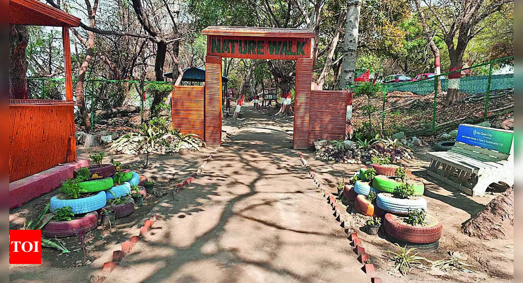 Okhla Bird Sanctuary: Golf Carts, Nature Trails: Footfall At Okhla 