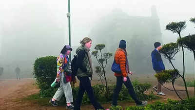 Delhi weather: T​emperature drops, rain likely next week
