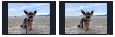 Microsoft's Photos app gets a major upgrade with AI-powered editing tool