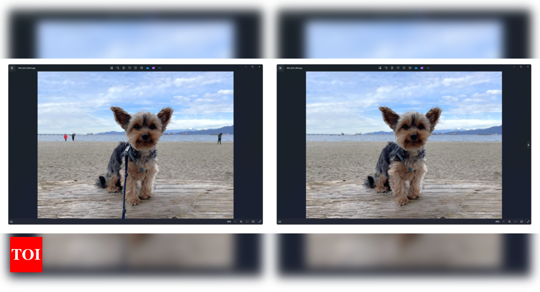 Microsoft’s Photos app gets a major upgrade with AI-powered editing tool |
