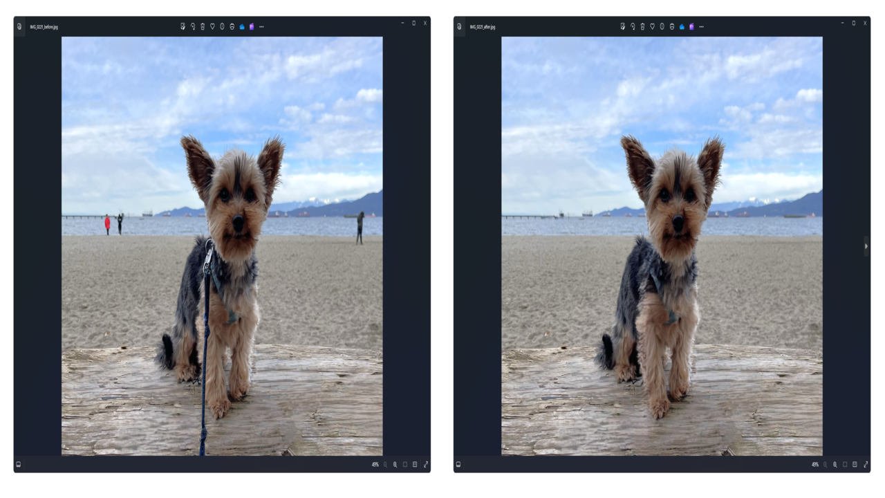 L'application Photos de Microsoft bénéficie d'une mise à niveau importante avec un outil d'édition basé sur l'IA