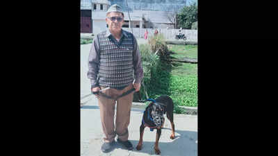Doberman 1st pet dog registered in Kashipur under new bylaws