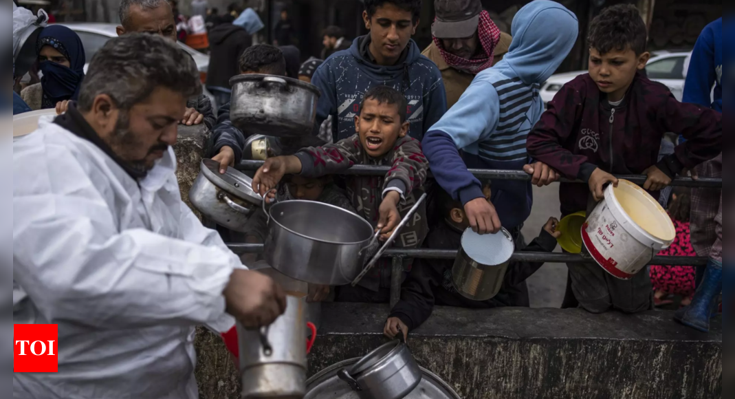 Dead horses, scraps: Gaza’s hunger crisis worsens as humanitarian situation deteriorates