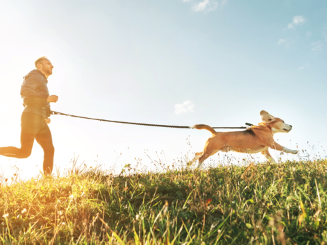 Do these workouts with your pet for added benefits