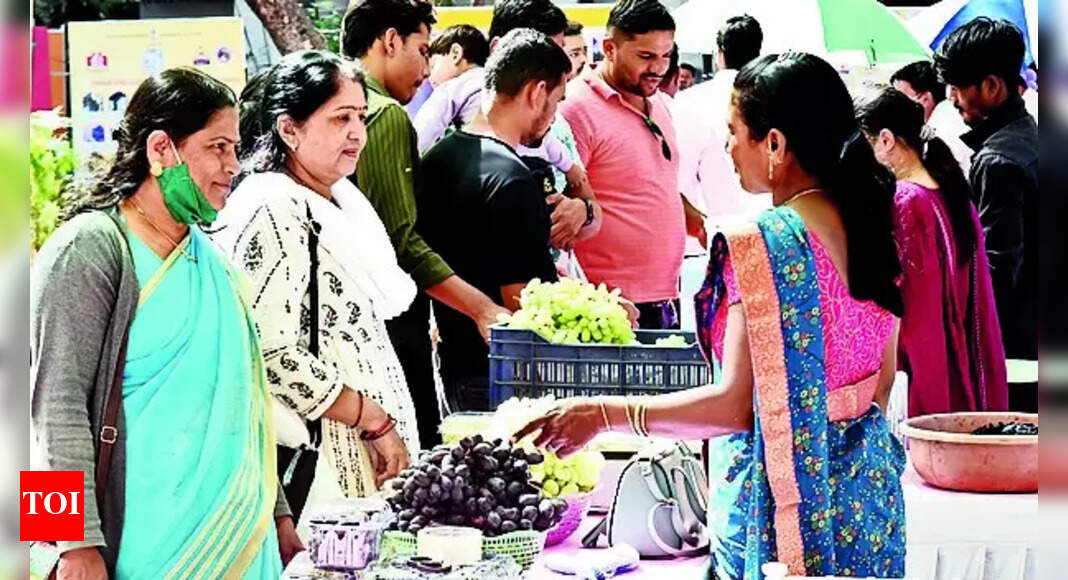 Grape Harvest Festival Grape Harvest Festival in Nashik 50 Stalls of Grapes, Wine & Food to