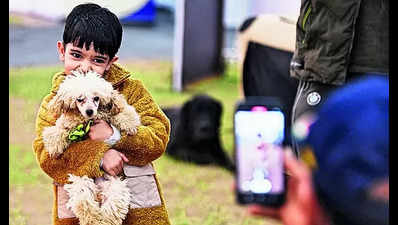 A paw-some start to fun fest with furry friends at Parade Ground