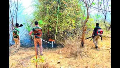 Man arrested for starting fire in reserve forest in Hosur