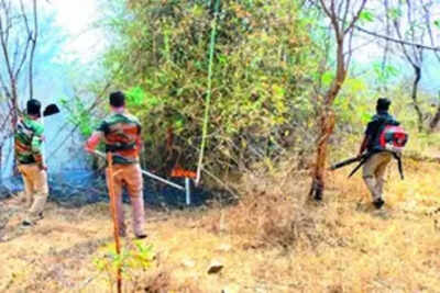Man arrested for starting fire in reserve forest in Hosur- JUNGLE TAK
