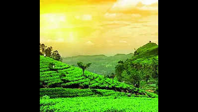 ATTSA protests sale of tea garden land to pvt parties