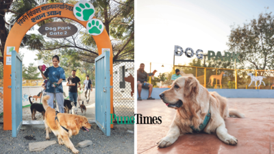 Doggies' day out in Pune