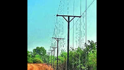 Hanging solar fence in Chandaka to prevent jumbos from straying into human habitation