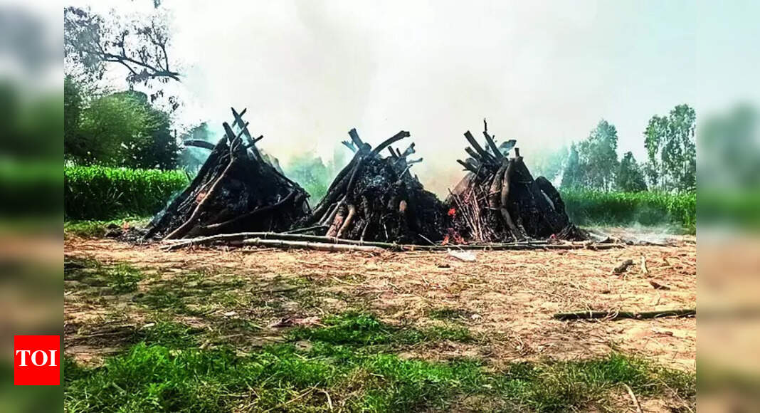 Kasganj Tragedy Kasganj tragedy Last rites of 23 performed Agra