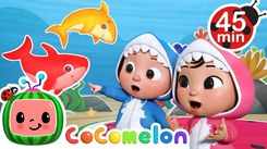 Nursery Rhymes in English: Children Video Song in English 'Baby Shark'
