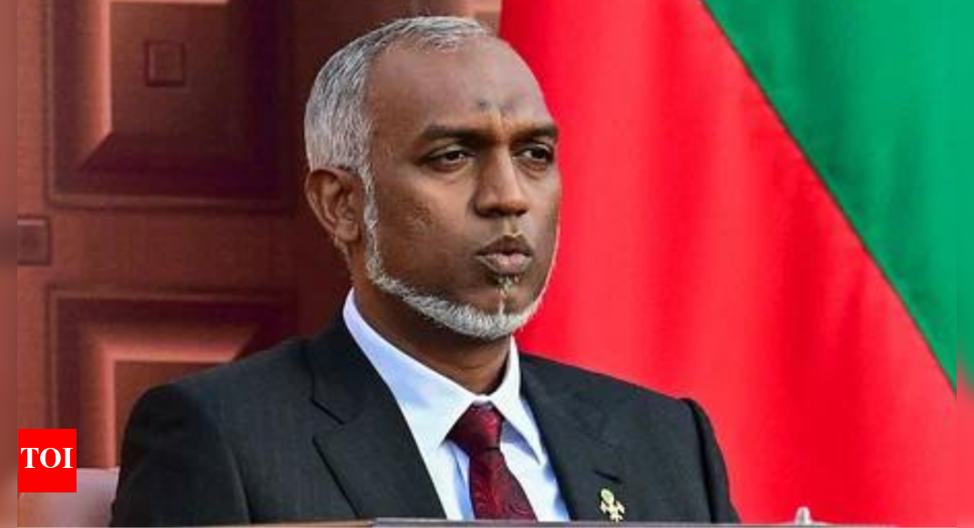 Opposition working under foreign influence, says Maldives president Muizzu in veiled reference to India