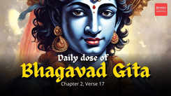 Beyond the Physical: Understanding the Soul's Role in the Bhagavad Gita's Chapter 2, Verse 17