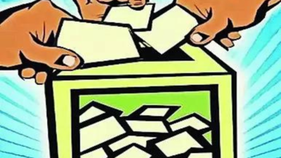 CPI names Wayanad Lok Sabha poll candidate