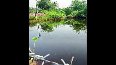 Wedding garden, water plant replace filthy pond in Nagaur