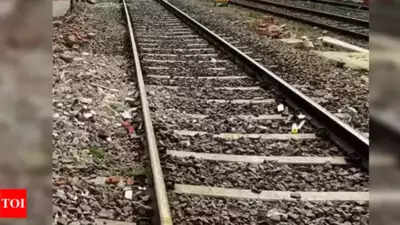 Two-year-old, father hit by train, dies