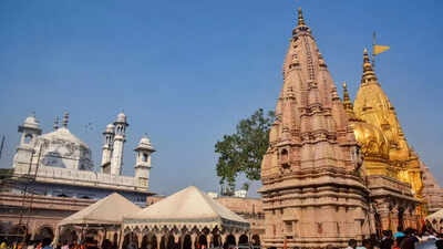 Hindus on right side of law on Kashi & Mathura: VHP chief Alok Kumar
