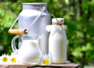 Cow milk vs Buffalo Milk vs Goat Milk: Which is the healthiest option?