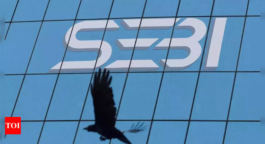 Sebi asks small, mid-cap funds to disclose more about risks – Times of India