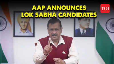 Lok Sabha Elections 2024: AAP announces candidates for four Delhi seats, one in Haryana