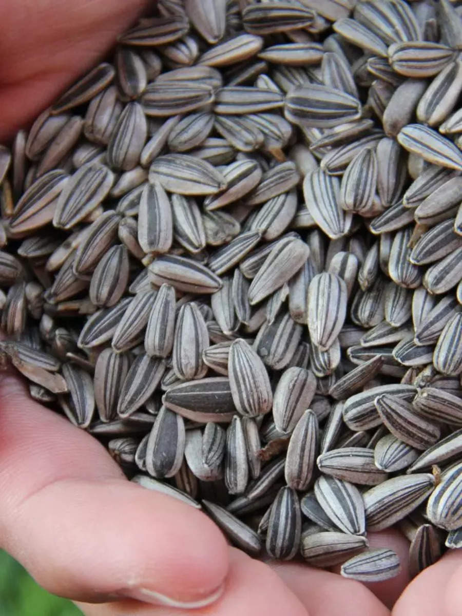 Healthy Seeds to Eat: Top 10 Healthiest Seeds That You Can Add to Your ...