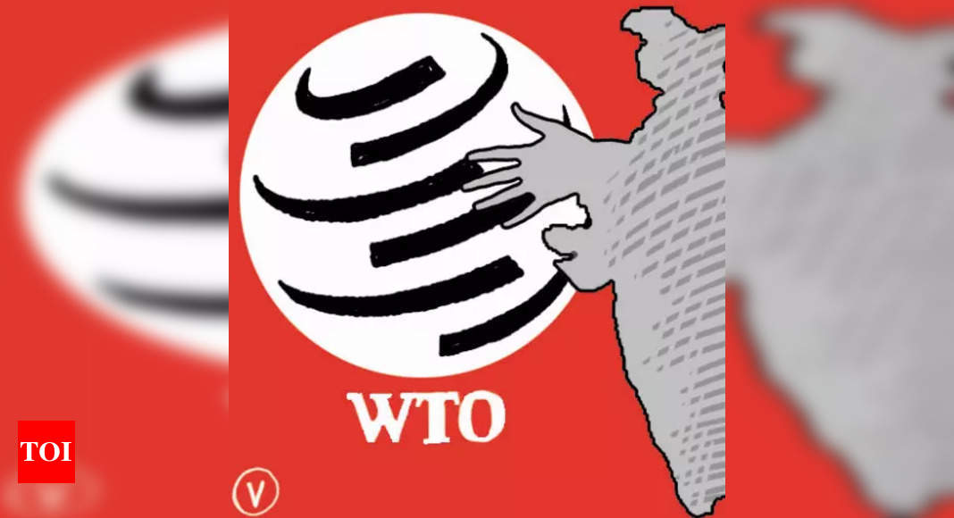 WTO: Bharat to prevent funding guarantee | Bharat Trade Information newsfragment