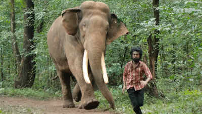 GV Prakash’s film on man and animal conflict features a herd of elephants
