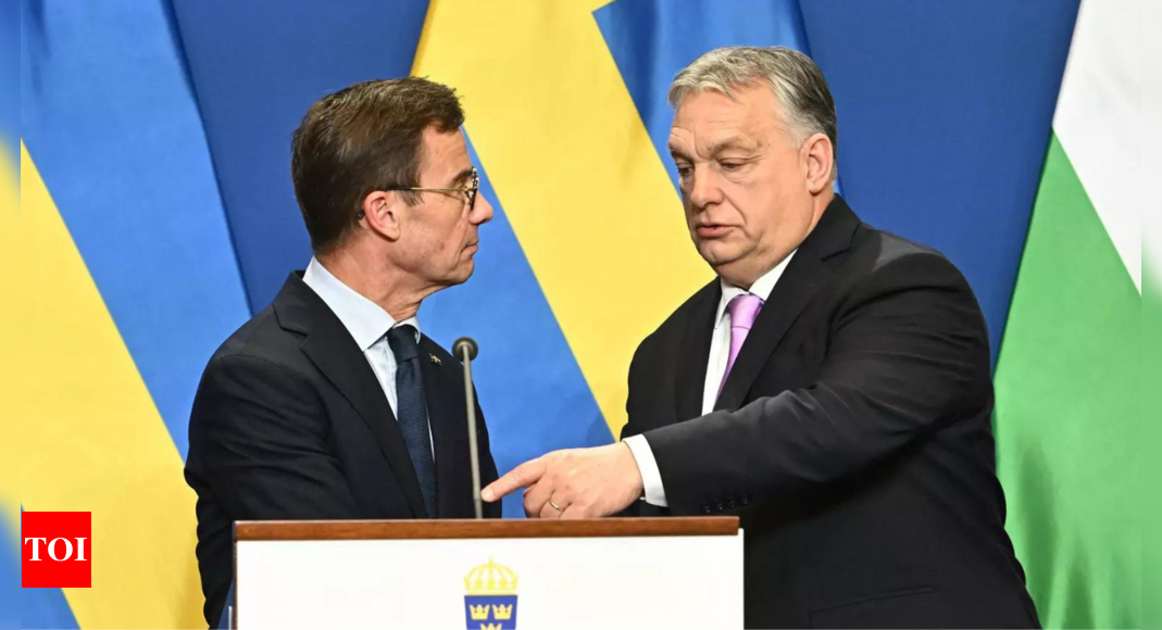 Sweden's Application To Join NATO Approved By Hungary | World News ...