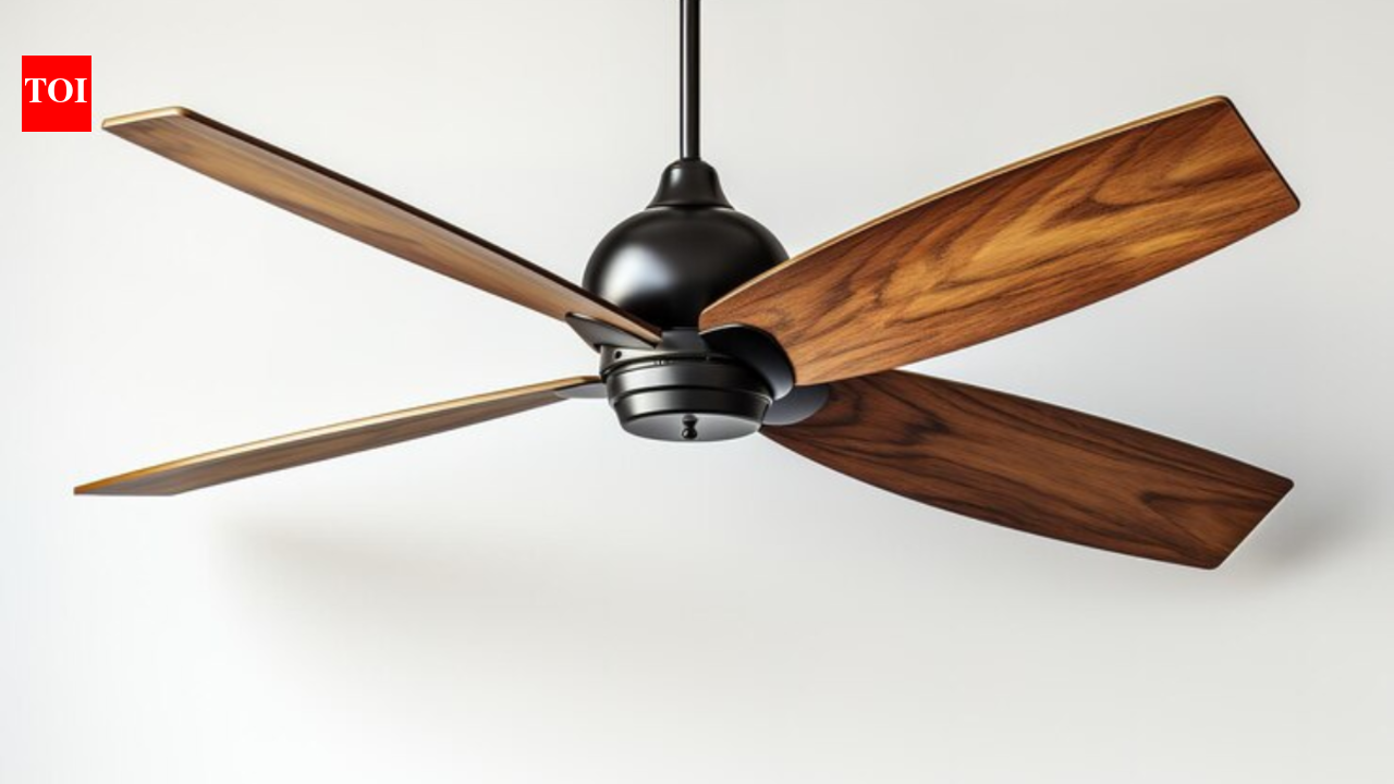 Top Quality and Affordable 4 Blade Ceiling Fan - The Times Reviews