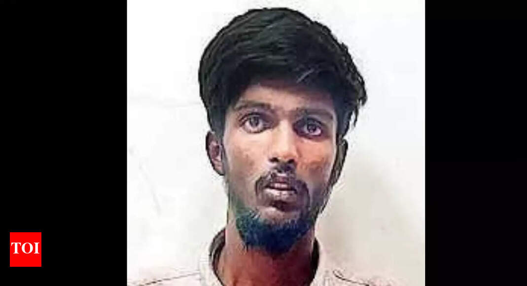 BTech student murders aunt, parties with friends in Goa | Bengaluru News - Vimarsana News