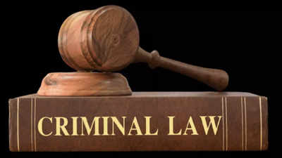 Three newly-enacted criminal laws to come into effect from July 1: All you need to know