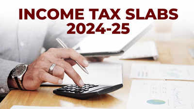 What are the Income Tax Slabs for 2024-25? Know details for old and new ...