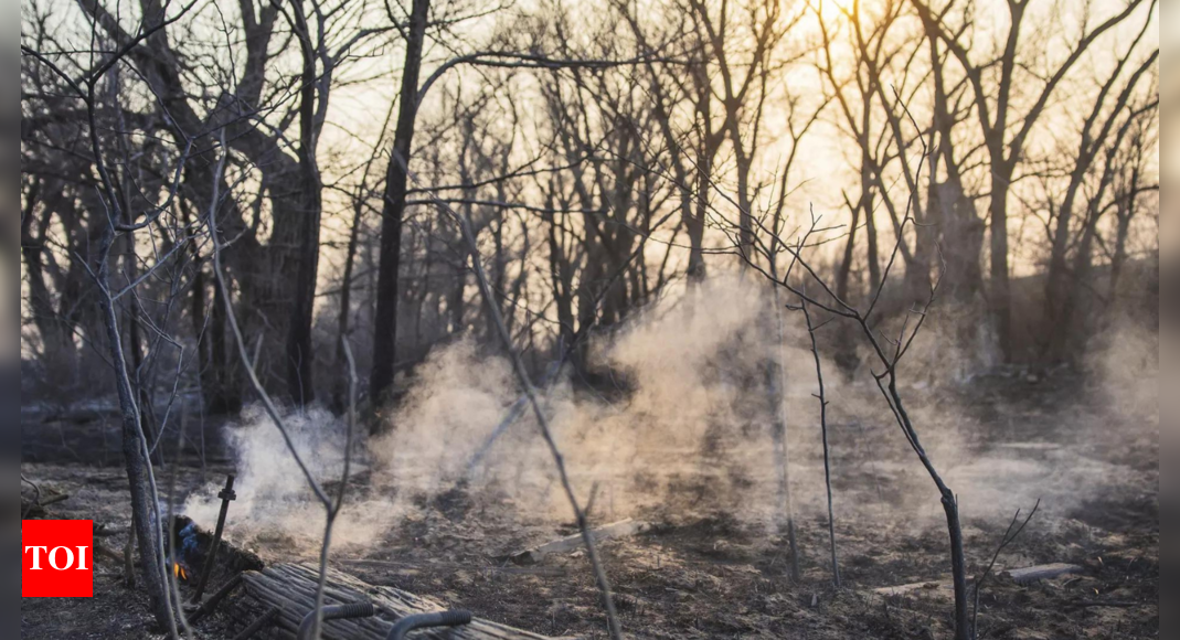 Un incendie de forêt devient le deuxième plus important de l'histoire du Texas et ferme brièvement une installation d'armes nucléaires