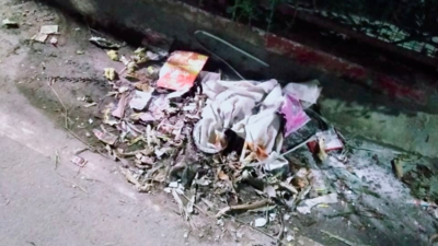 Sanitation crisis grips Noida and Greater Noida sectors