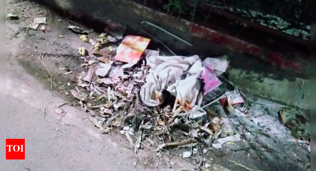 Sanitation crisis grips Noida and Greater Noida sectors | Lucknow News - Vimarsana News