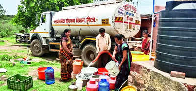 Fodder Crisis: Fodder Ban: Sangli Collector Restricts Transport of ...