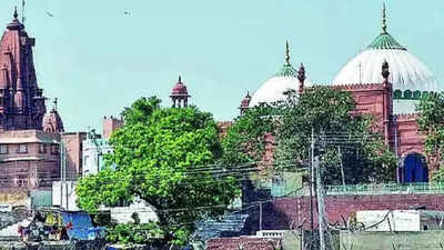 Mathura Case: Mathura case: Eidgah suit time barred, says Muslim side ...